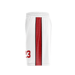 Load image into Gallery viewer, Bradentucky Roller Derby mens cut Full Dye Shorts