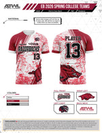Load image into Gallery viewer, East Bay Spring 2026 Replica League Baseball Jerseys