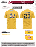 Load image into Gallery viewer, Canes USA Baseball Full Dye jersey