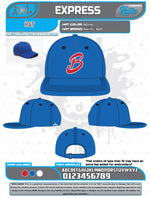 Load image into Gallery viewer, Bloomingdale Fall League Hats