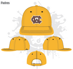 Load image into Gallery viewer, Wesley Chapel Hats Fall 2018