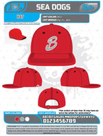 Load image into Gallery viewer, Bloomingdale Fall League Hats