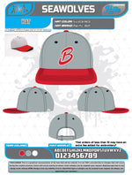Load image into Gallery viewer, Bloomingdale Fall League Hats