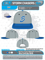 Load image into Gallery viewer, Bloomingdale Fall League Hats