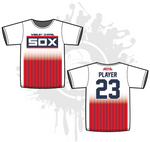 Load image into Gallery viewer, Wesley Chapel Youth Jersey Fall 2018