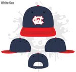 Load image into Gallery viewer, Wesley Chapel Hats Fall 2018