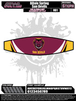 Load image into Gallery viewer, Softball Team Headbands Spring 2019