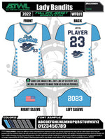 Load image into Gallery viewer, Lady Bandits Women's V-neck Jersey