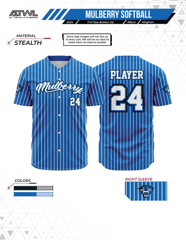 Mulberry Softball Mens Pinstripe Full Button All Star Replica Jersey