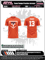 Load image into Gallery viewer, Team Tampa DTF 100% Polyester Practice jerseys