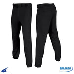 Load image into Gallery viewer, Champro Pro Plus Baseball Pant Style Number: BP6