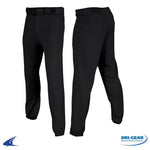 Load image into Gallery viewer, Champro Pro Plus Baseball Pant Style Number: BP6
