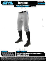 Load image into Gallery viewer, Tarpons Youth Stock Pants
