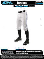 Load image into Gallery viewer, Tarpons Youth Stock Pants
